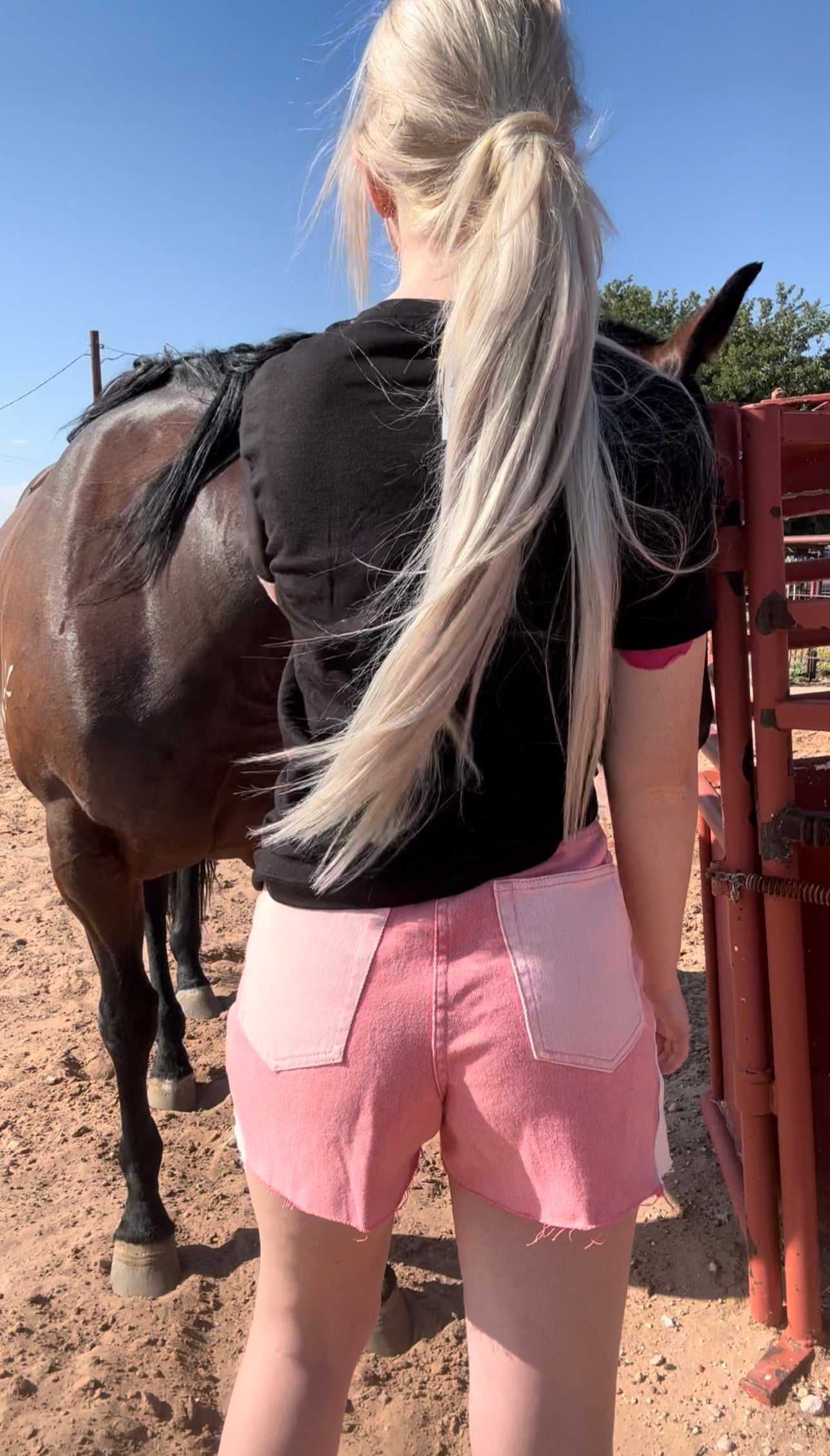 The Western Barbie Shorts
