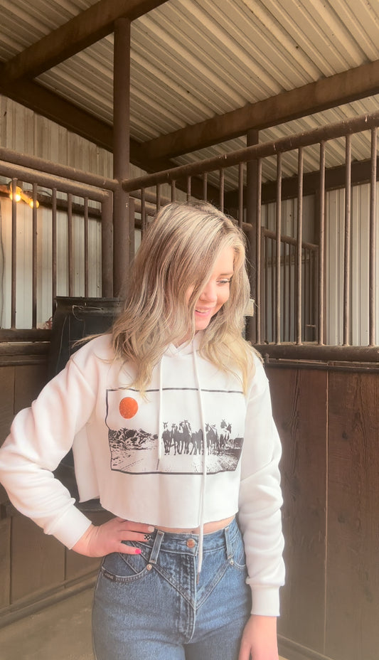 Horse Sunset Hoodie