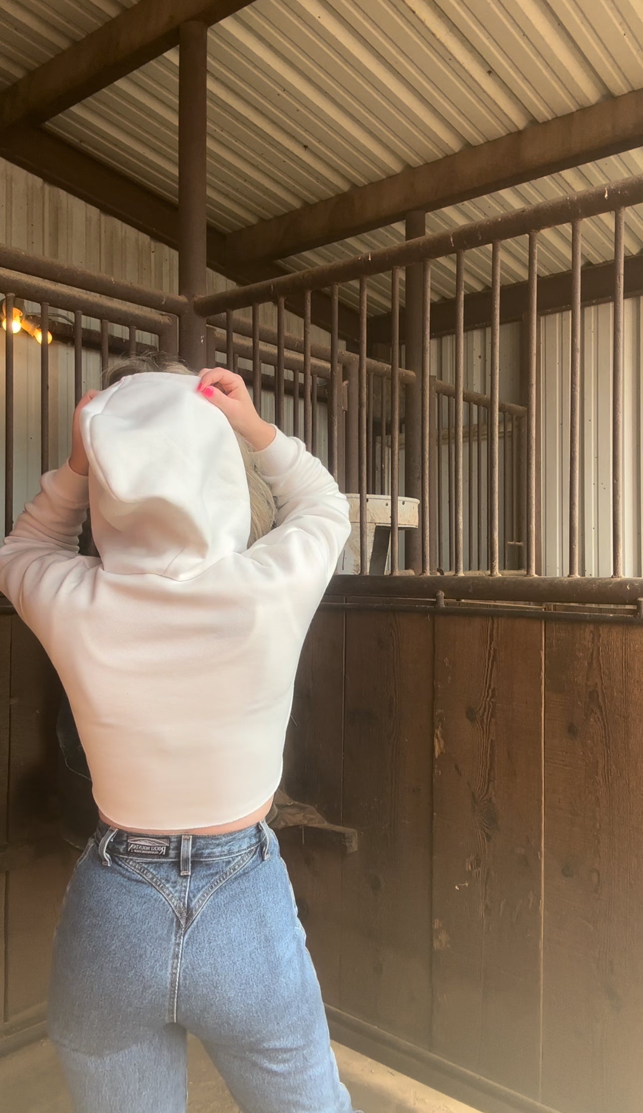 Horse Sunset Hoodie