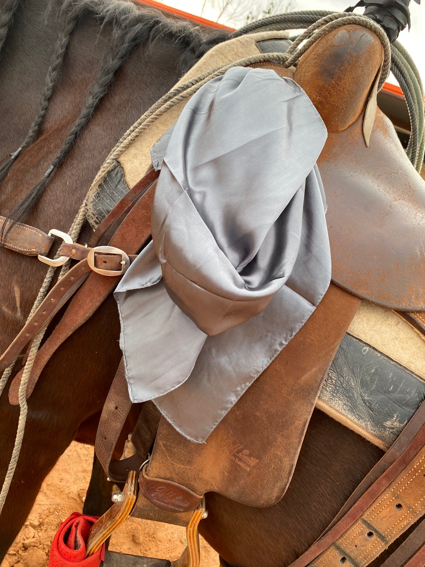 The Wild West Rag
