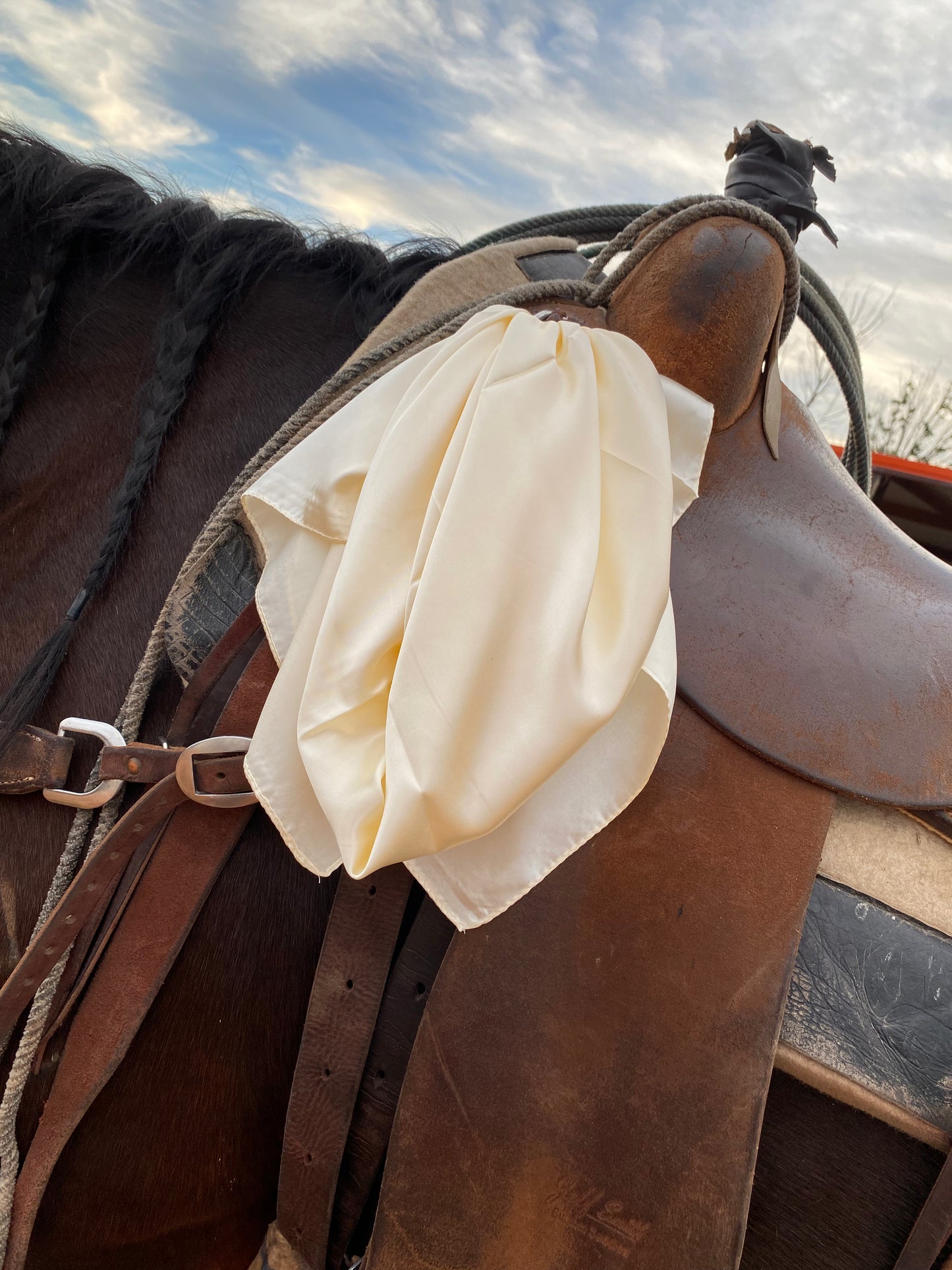The Wild West Rag